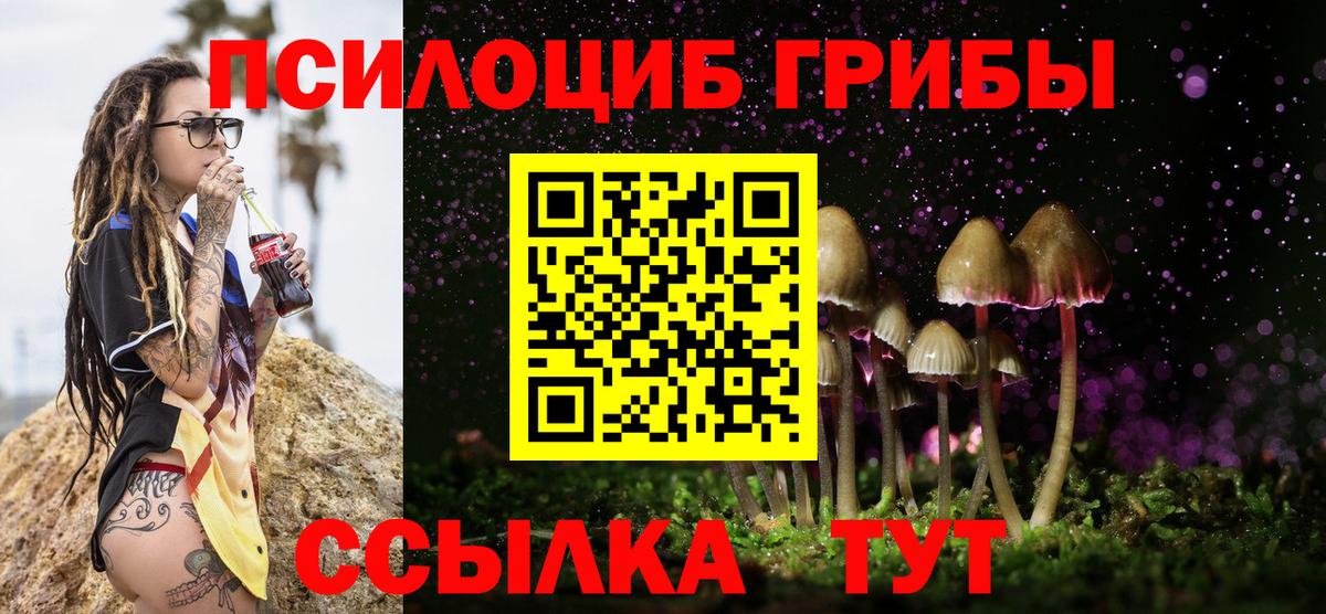 Галлюциногенные грибы GOLDEN TEACHER  Псилоцибиновые грибы мухоморы  Вятские Поляны  Вход с VPN 